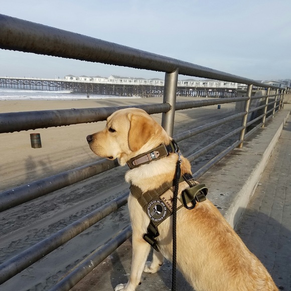 Meet your Posher, Trish - Picture 1 of 1